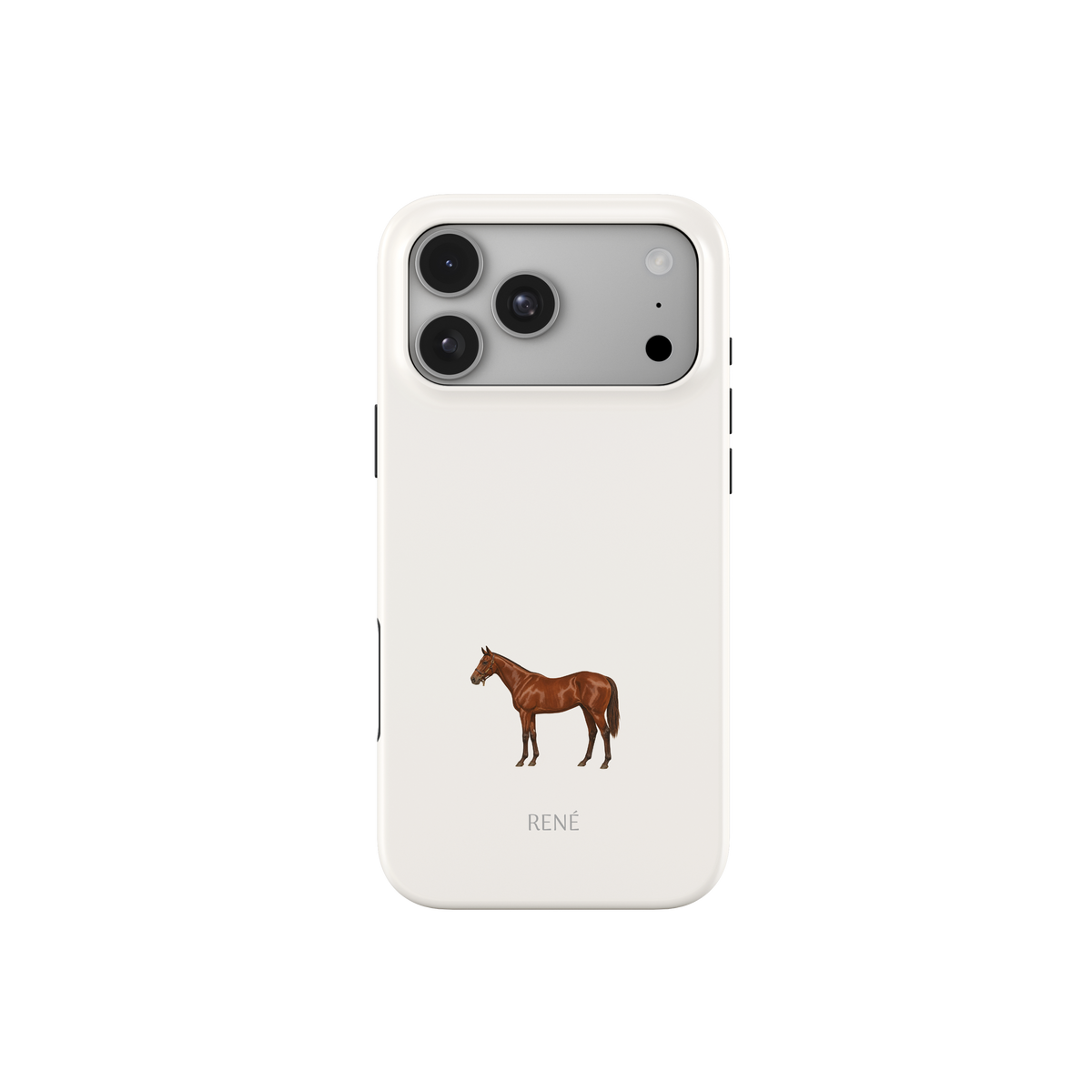 Simply Equestrian